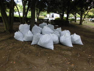 「公園ボランティア」