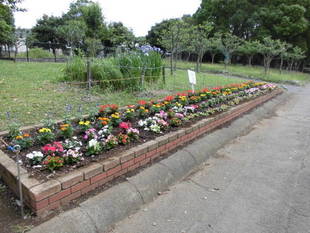 「花壇づくり」