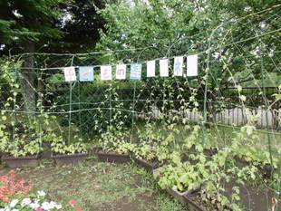 「緑の子どもトンネル（その１）」