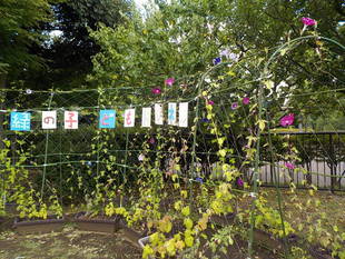 「緑の子どもトンネル（その２）」