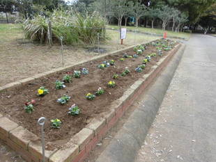 「公園ボランティア」