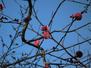 「今年もよろしくお願いいたします!!」