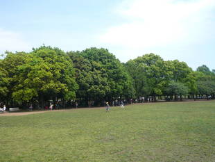 遠足シーズン到来！ 