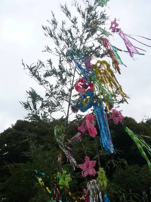 ★短冊に願いを込めて★