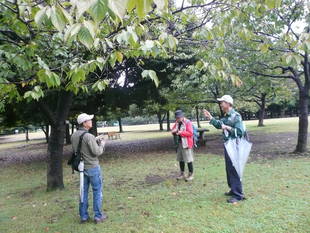 「園内植物観察ガイド」を実施しました