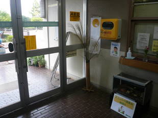 お月見にススキ