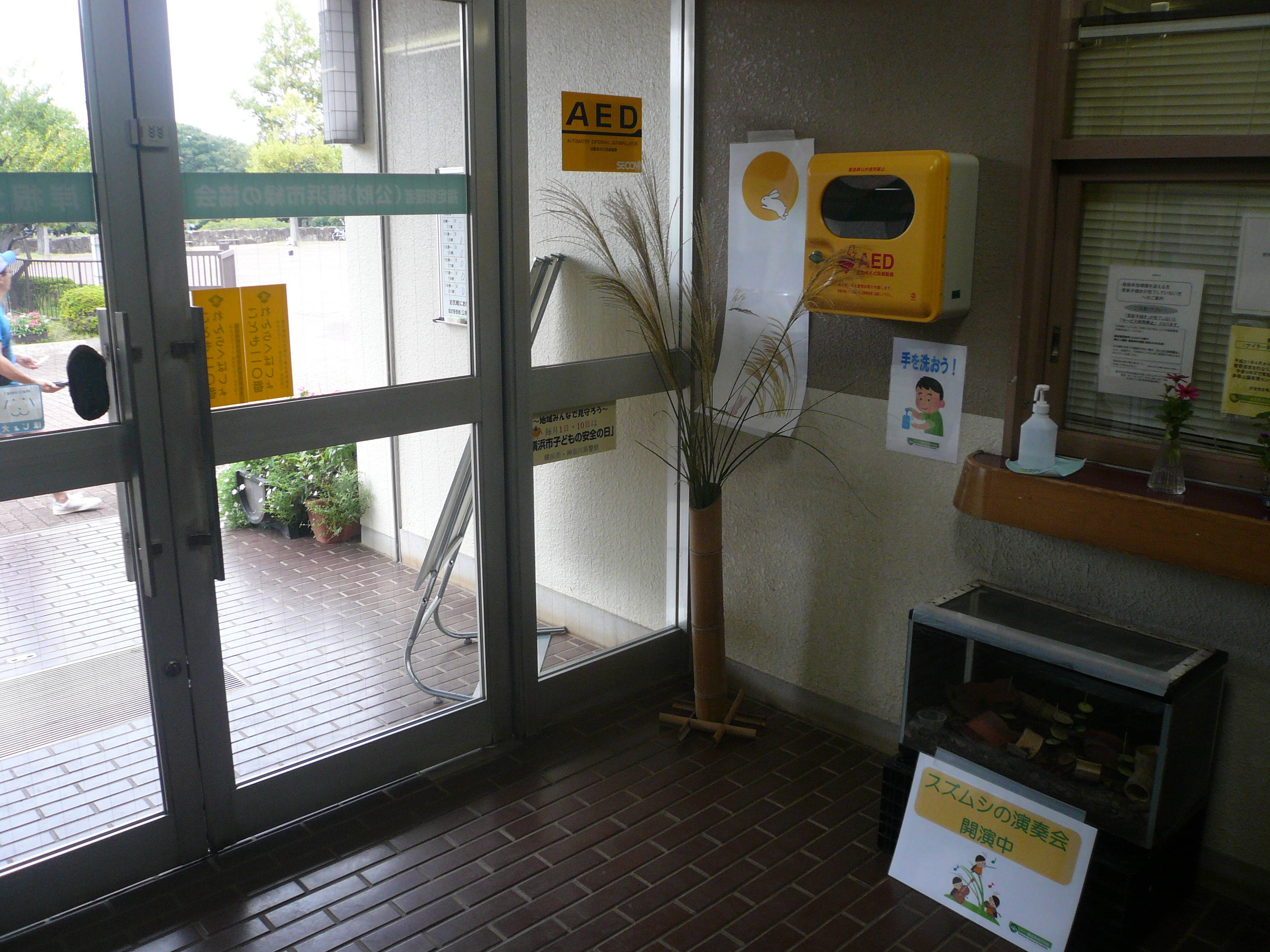 お月見にススキの写真