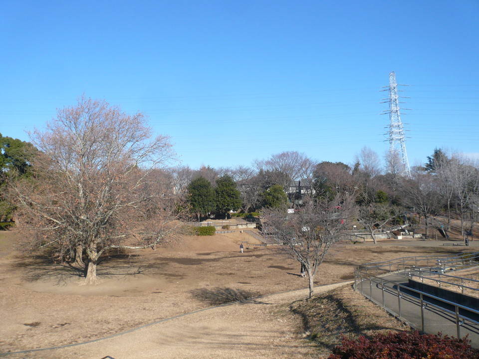 寒中お見舞い申し上げますの写真