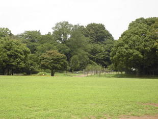 【岸根公園】しーーーん