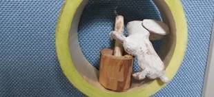 【岸根公園】十五夜飾り