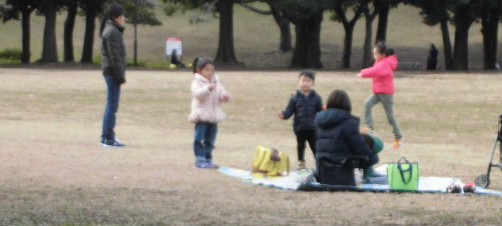 【岸根公園】年の瀬の写真
