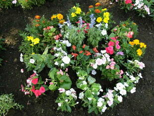 Garden Necklace in Kishine（№2）