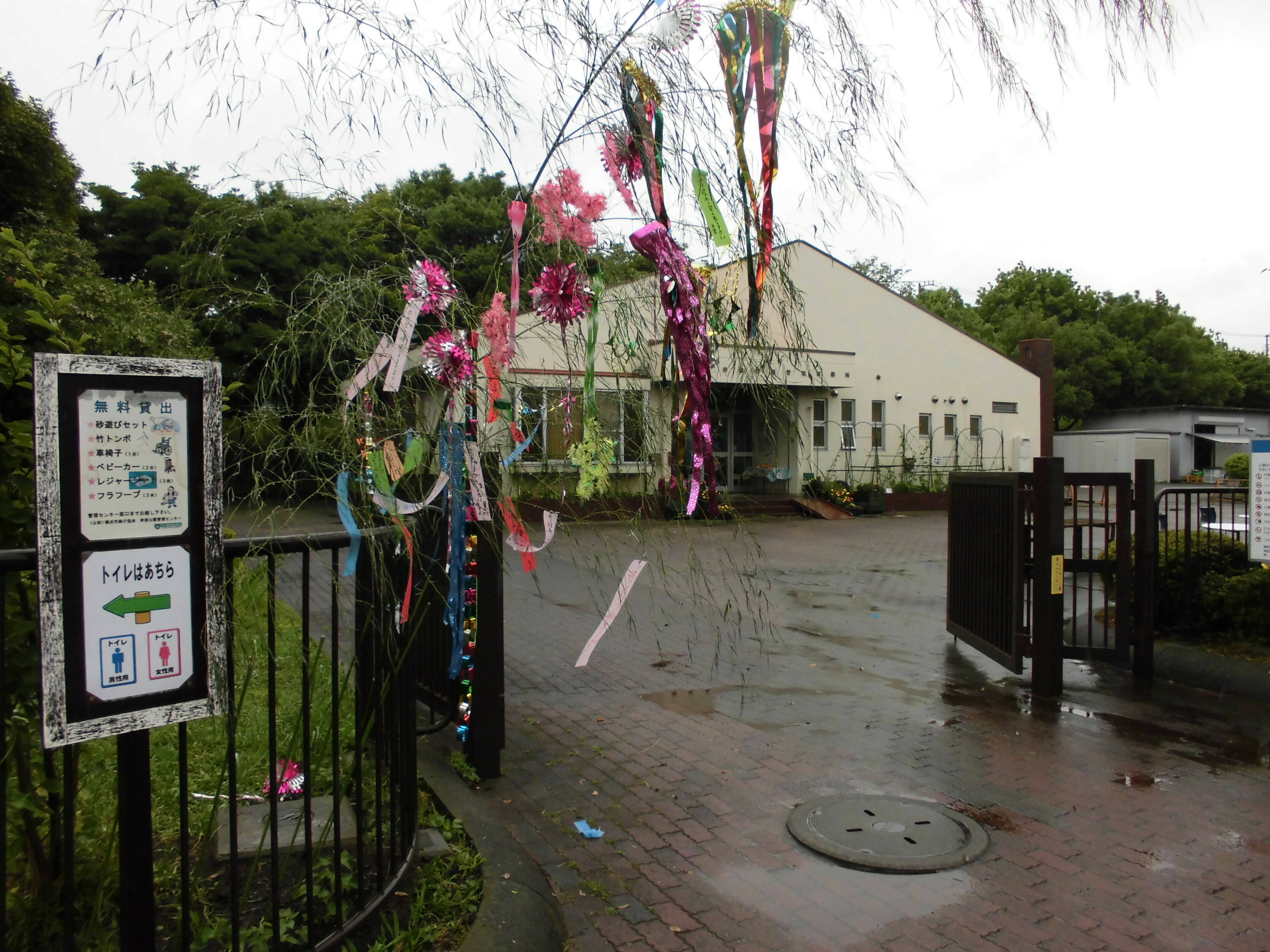 七夕飾りは雨の中 ブログ 岸根公園公式サイト 公益財団法人 横浜市緑の協会