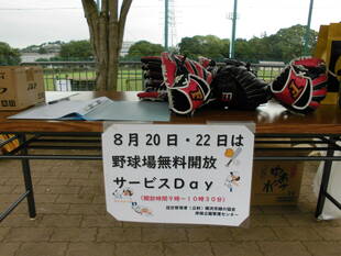 【大反響】野球場無料開放サービス