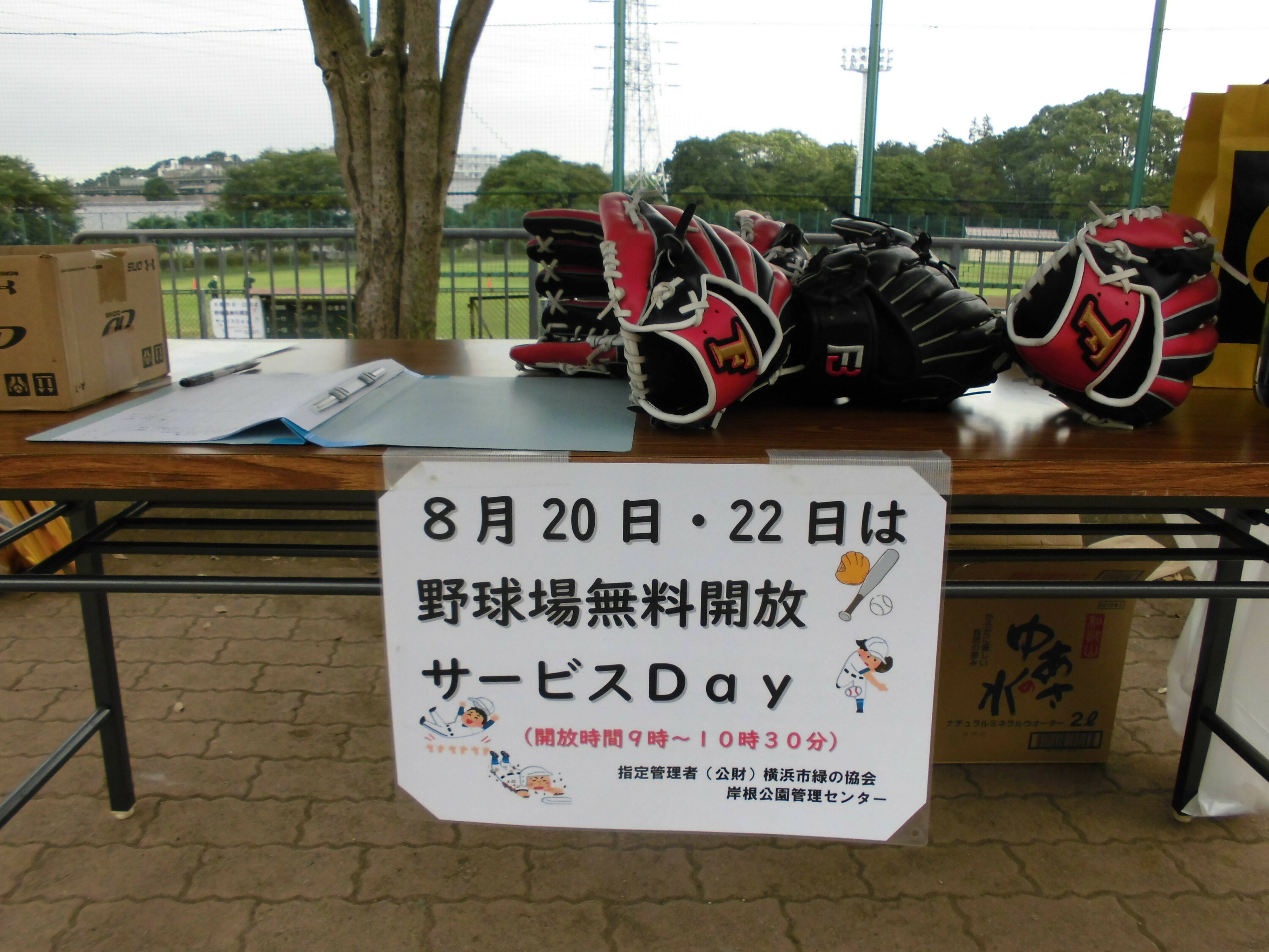 【大反響】野球場無料開放サービスの写真