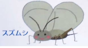 スズムシ展示中