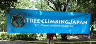 ツリークライミング