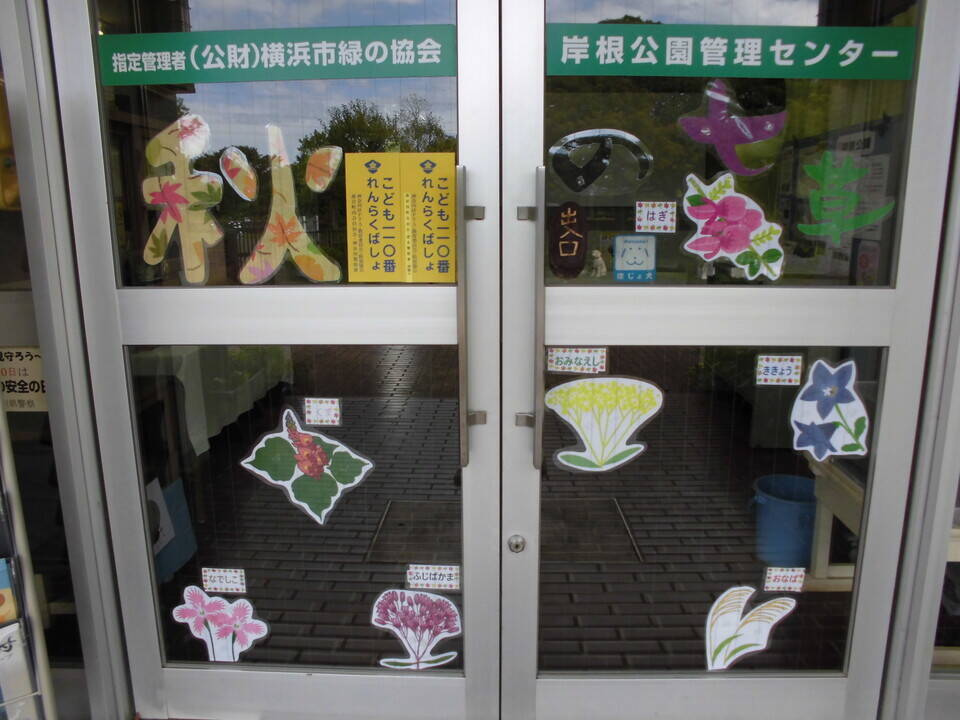 秋の七草の写真