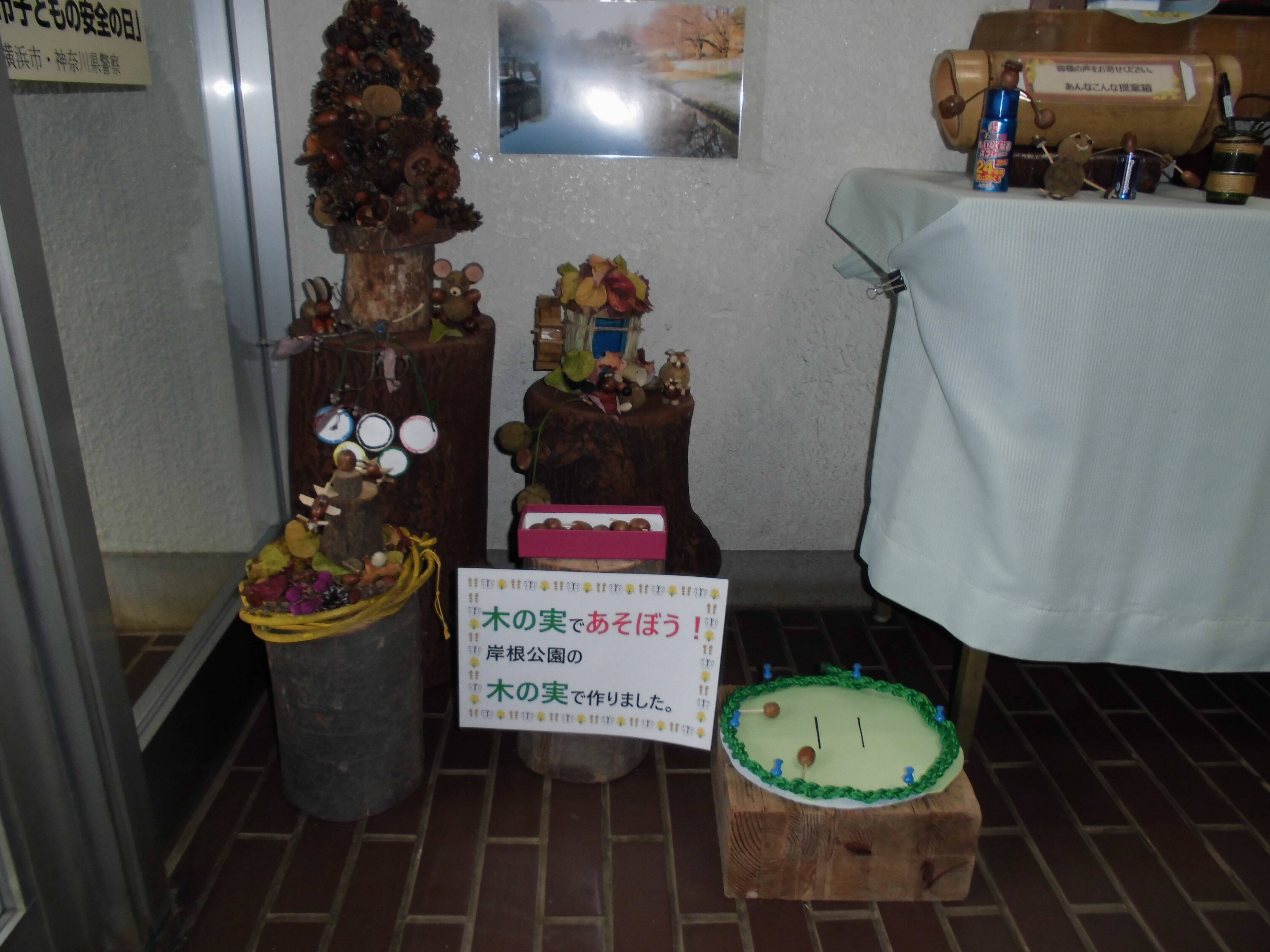 木の実であそぼう!の写真