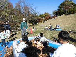 落葉プールであそぼう！！