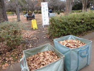 今年最後のパーククリーンデー