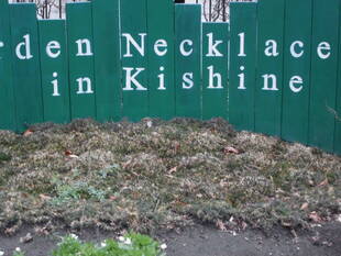 早咲きのシバザクラ