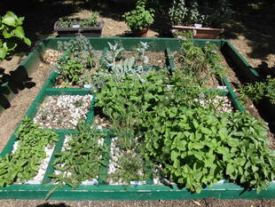 ハーブガーデン（№１）