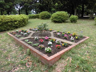 みんなでつくる花壇と寄せ植えポット