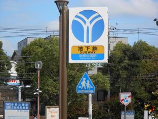 池と小さな仲間達