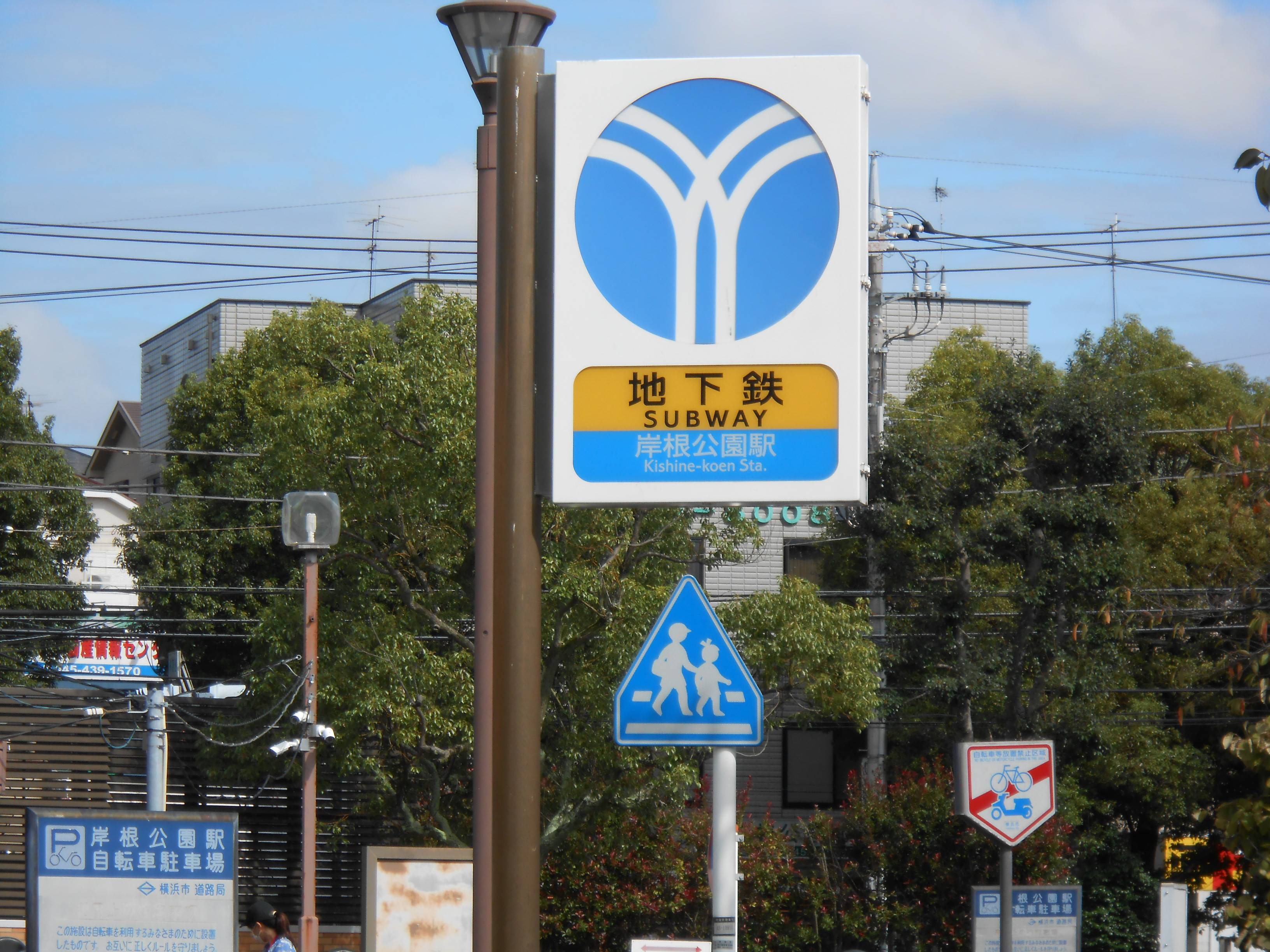 池と小さな仲間達の写真