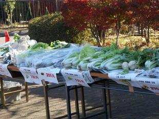 青空マルシェPart2