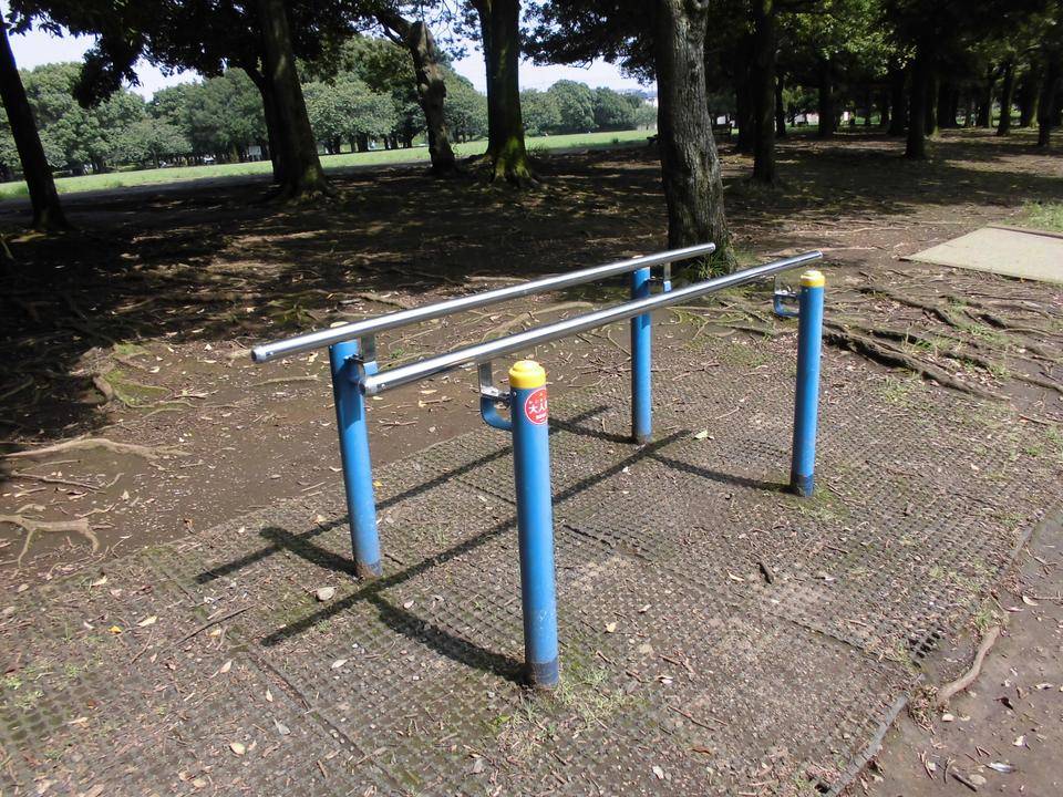 健康遊具その6の写真