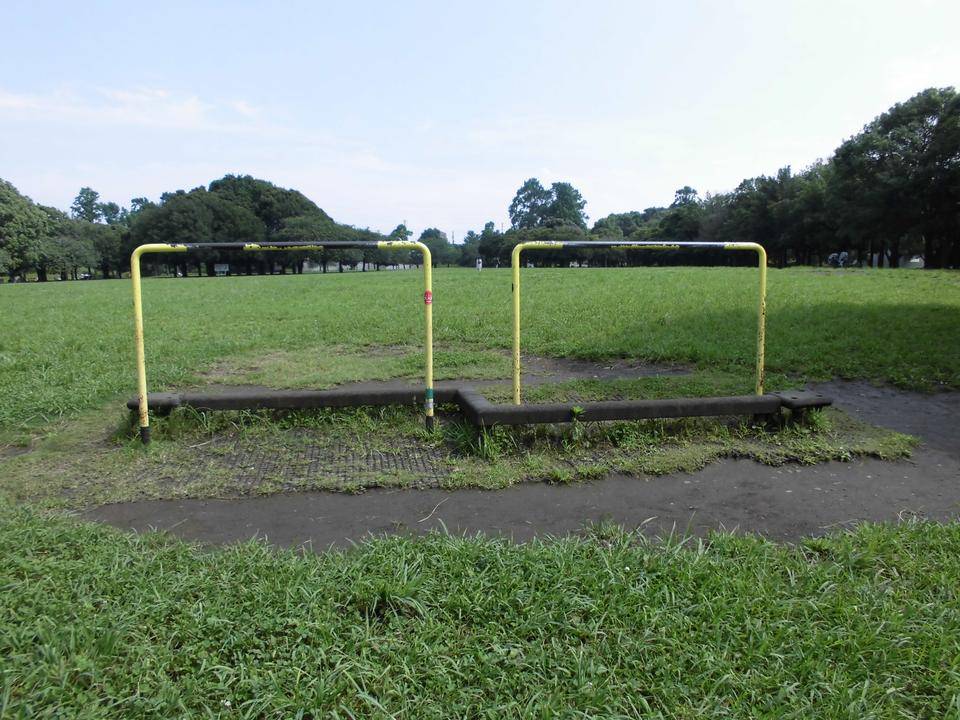 健康遊具その7 の写真