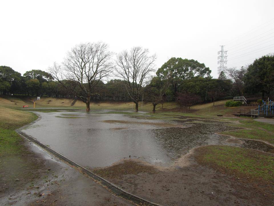 雨の岸根公園の写真