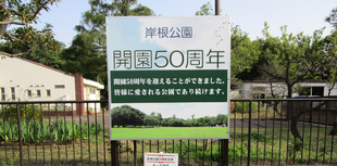 岸根公園開園50周年
