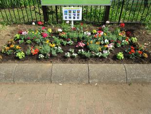 岸根公園50周年記念スペシャル花壇