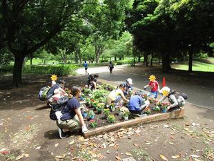 春の花植え(6月5日)