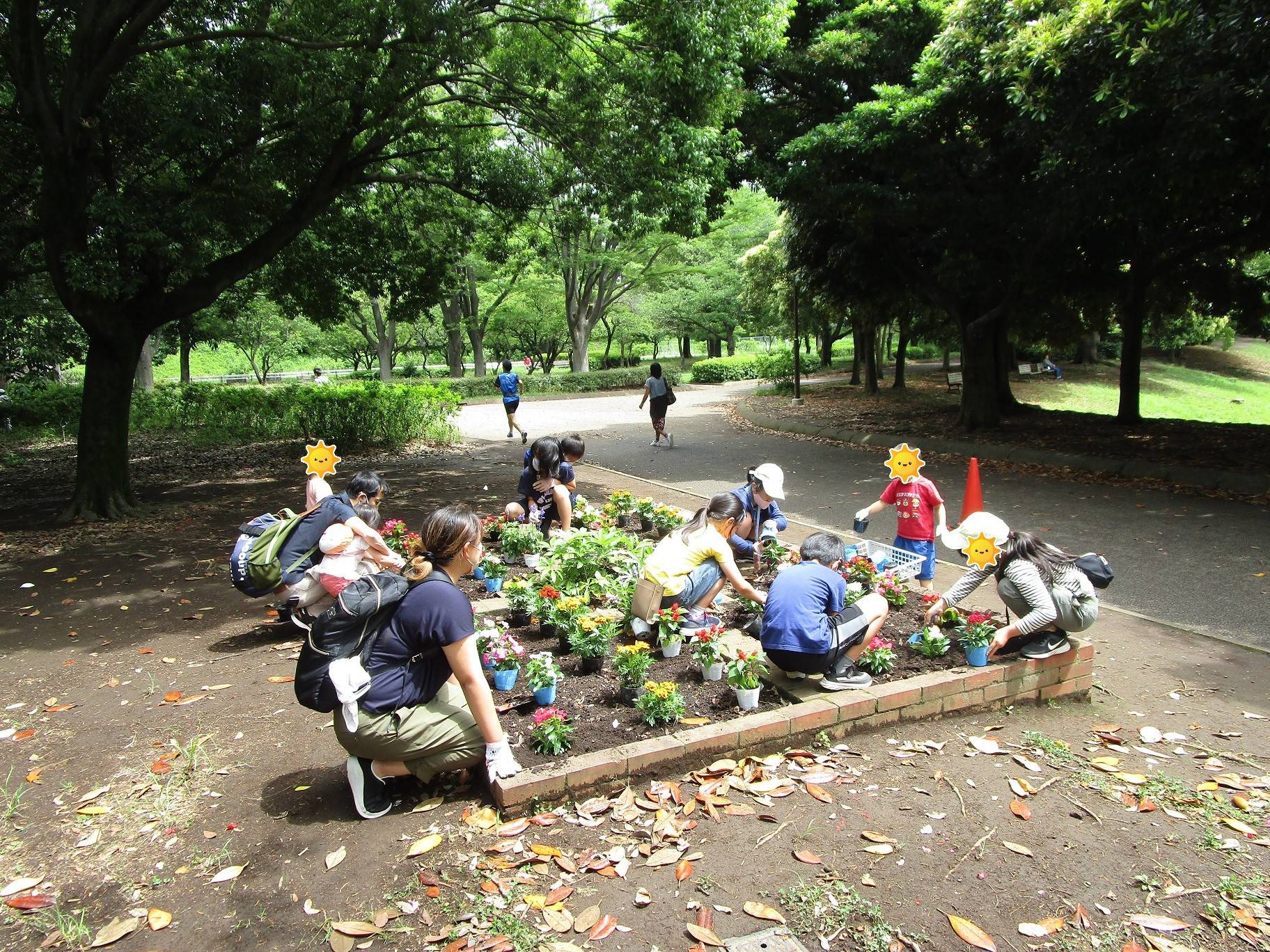 春の花植え(6月5日)の写真