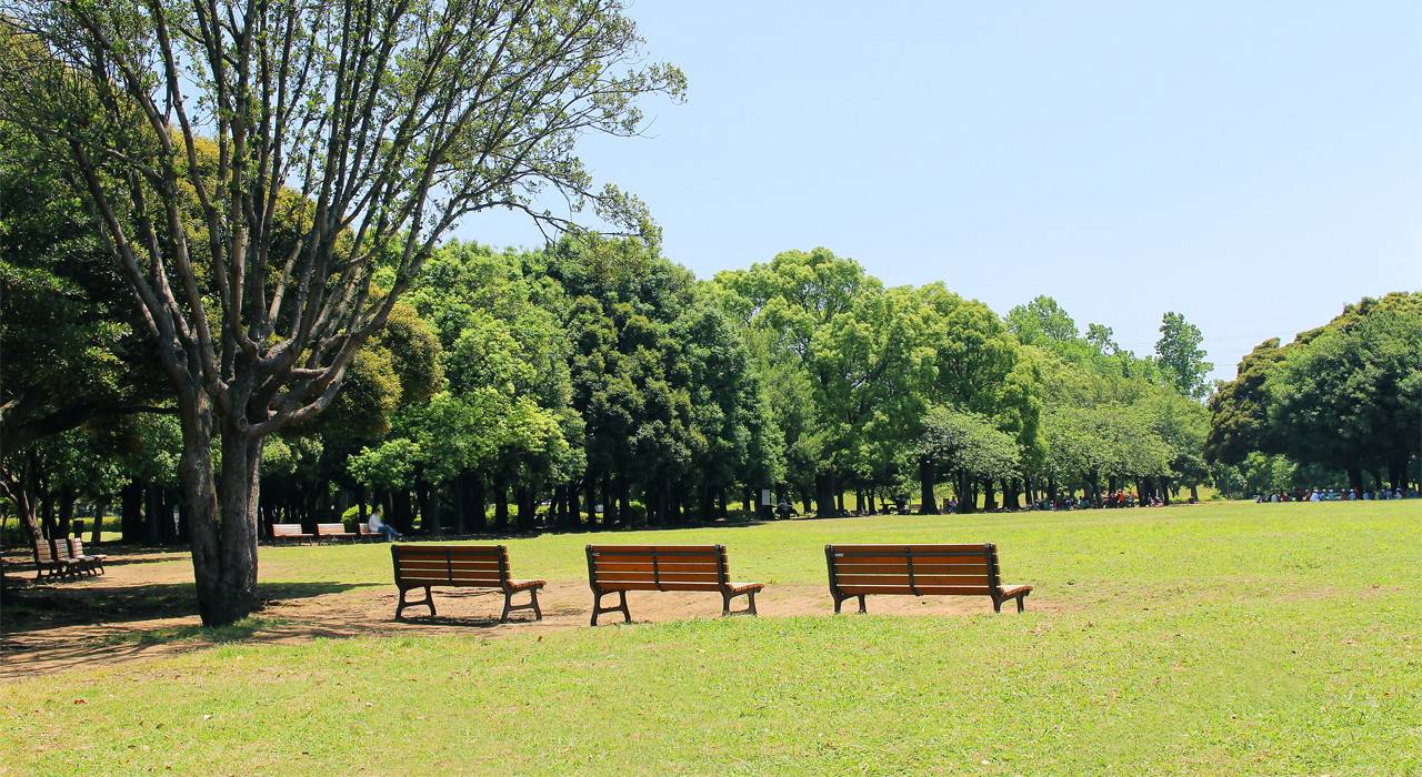 岸根公園についての画像