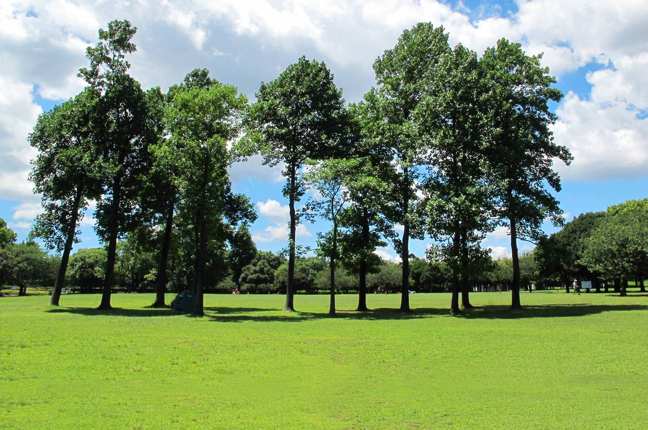 岸根公園トップ画像2