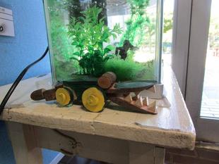 動物はどこかな?