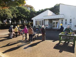 秋の花植え【その３】