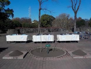 開園50周年アオダモ植樹式