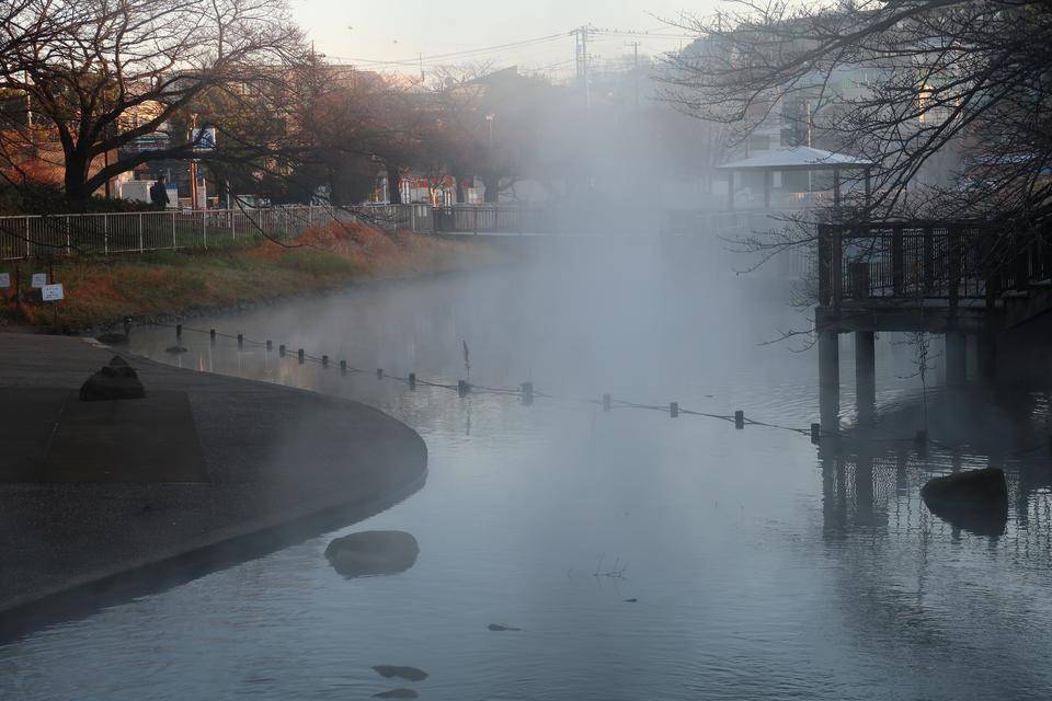 朝の篠原池の写真