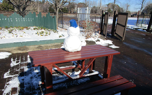 雪ダルマコレクション