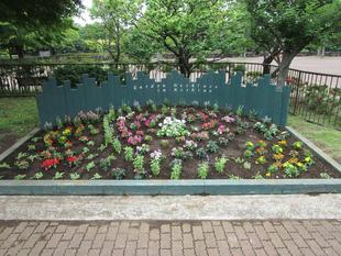 春の花植え（2022年5月31日）