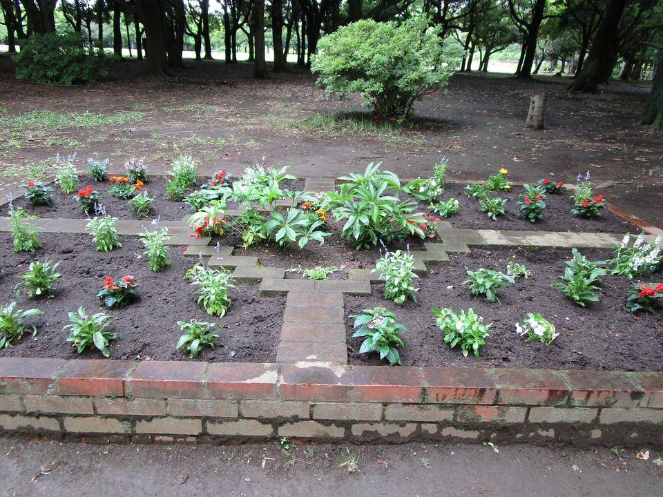 春の花植え(2022年6月7日)の写真