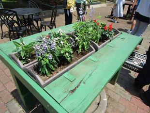  春の花植え（2022年6月4日）