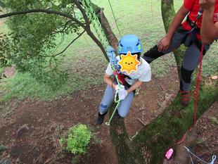 ツリークライミング（2022年8月28日）