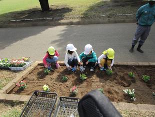 秋の花植え(2022年10月27日)